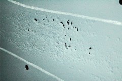 bellair57_galeria1_037