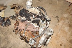 09
