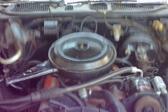 IMG00087