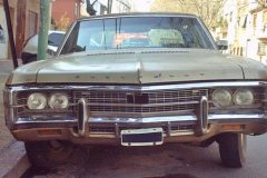 impala69