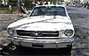 mustang_64_icon2
